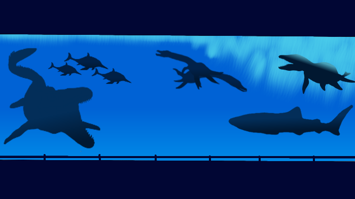 美ら海水族館×海洋生物たち